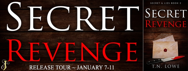 secret revenge banner